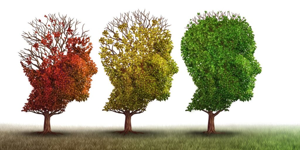 Signs of Brain Aging and How to Keep Your Mind Sharp