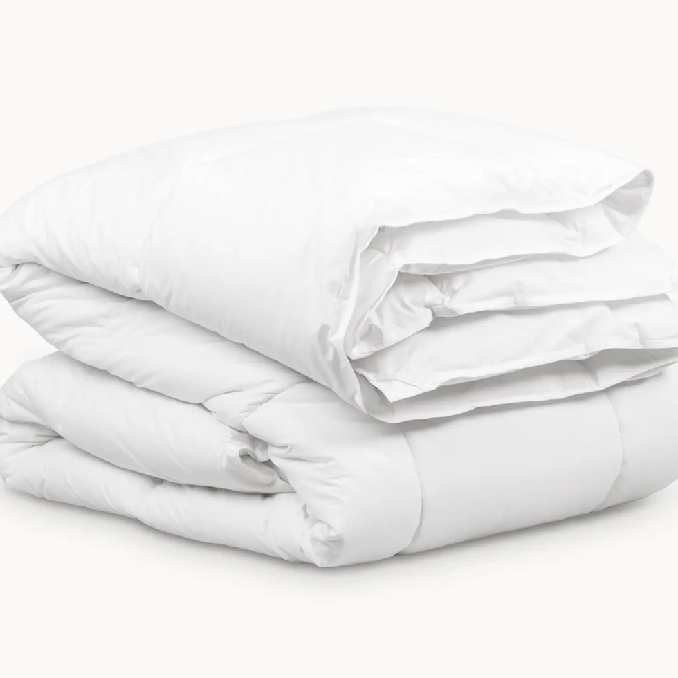 Down Alternative Duvet Insert