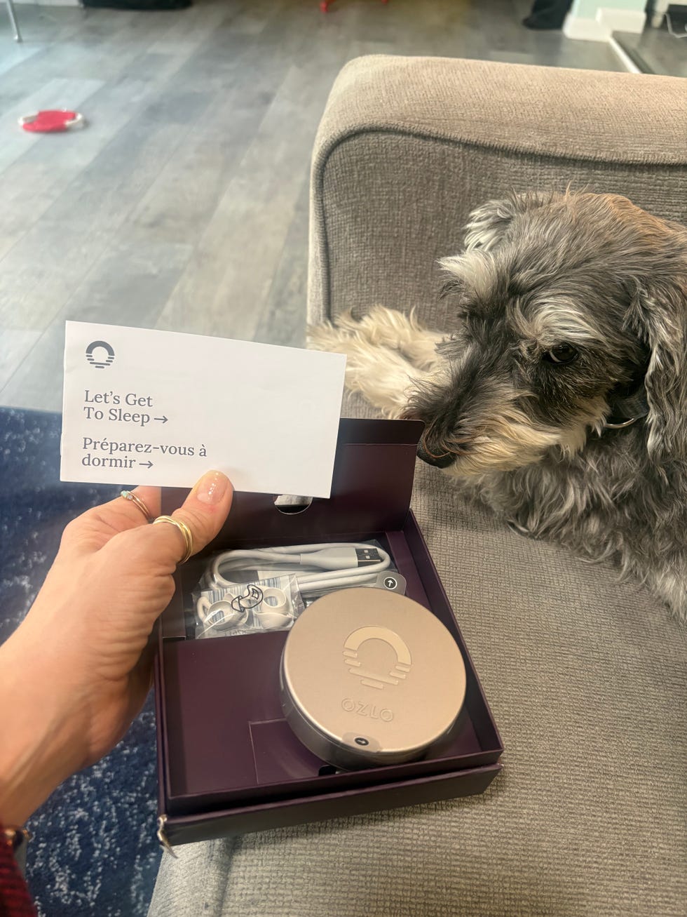 Sleep aid kit with a dog nearby