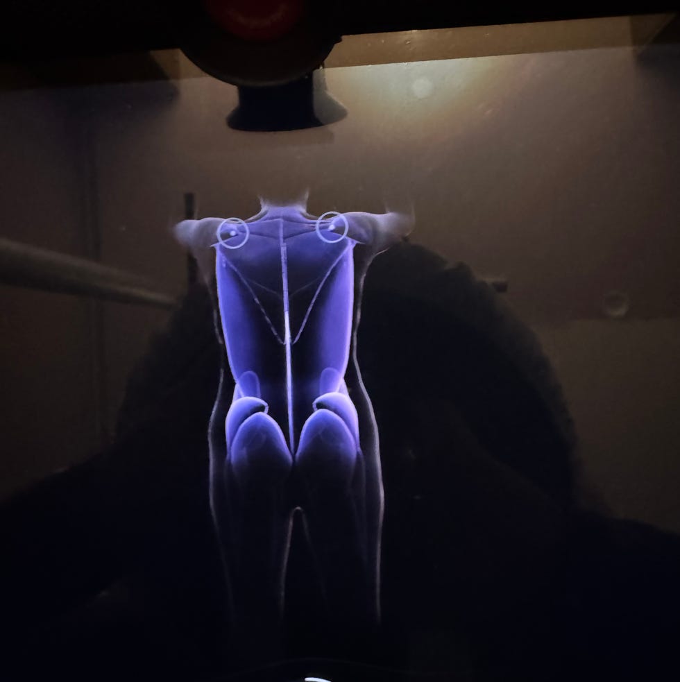 visual representation of muscle anatomy on a digital device