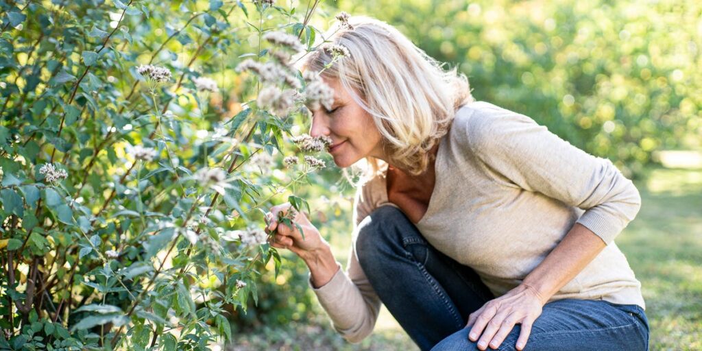 A Toxicologist Says This Popular Garden Tool May Be Linked to Cancer