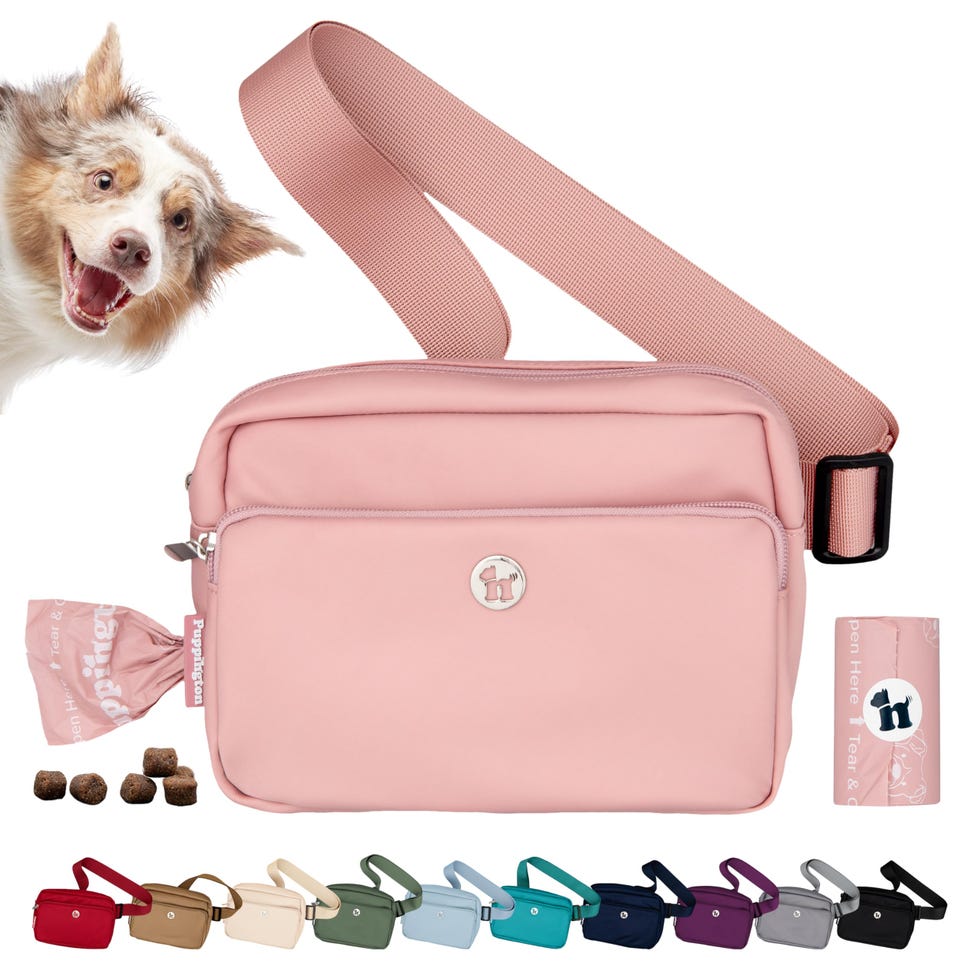 3-in-1 Crossbody Bag & Dog Treat Pouch