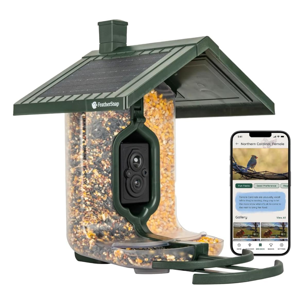 Smart Bird Feeder