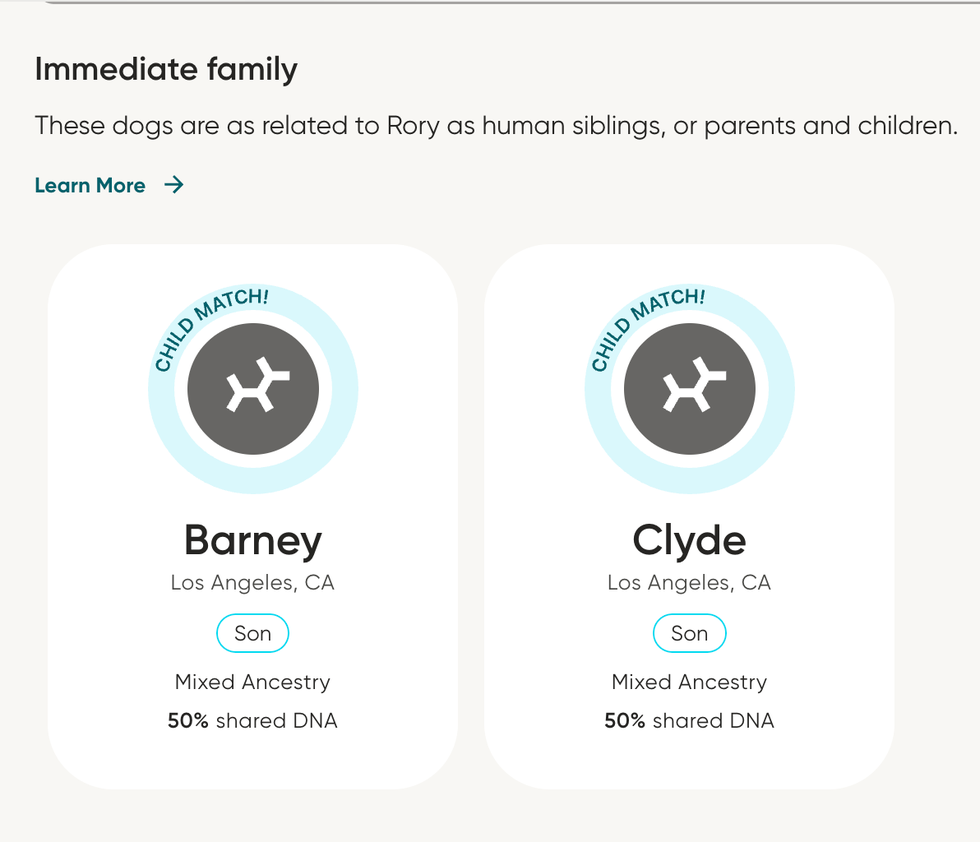 Dog family match information