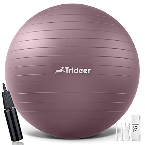 Exercise Ball Exercise Ball