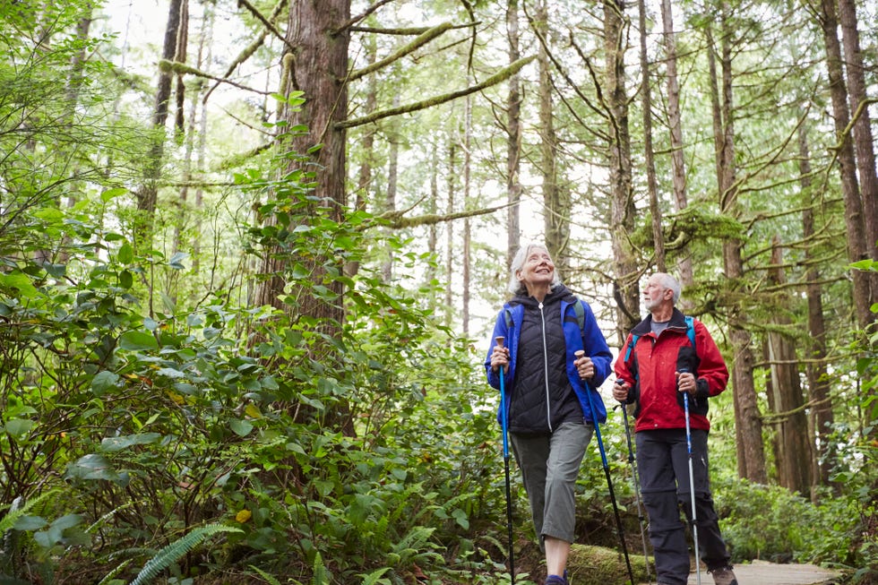 Two older adults hiking on a forest trail, using walking poles surrounded by lush greenery and tall trees.