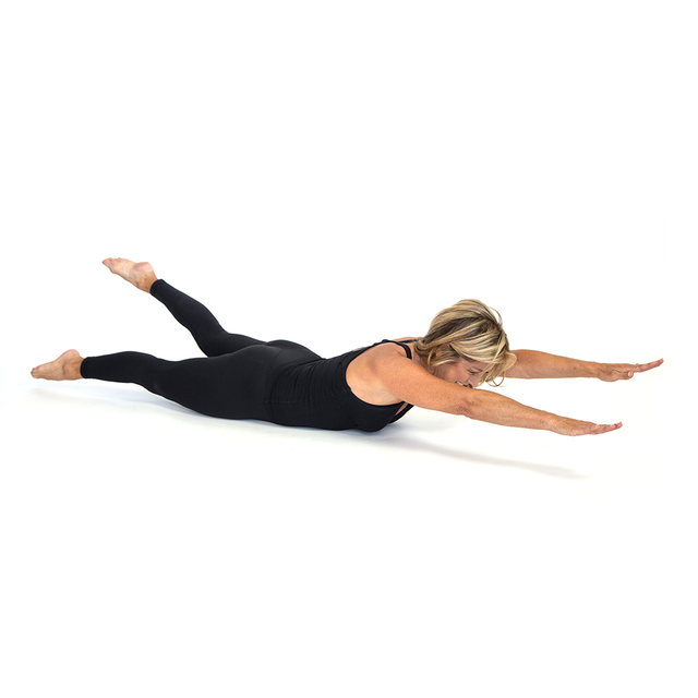 denise austin