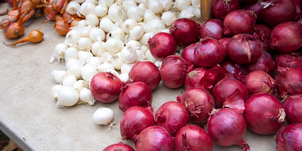 Dietitians Reveal Which Are Healthier