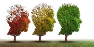 Signs of Brain Aging and How to Keep Your Mind Sharp
