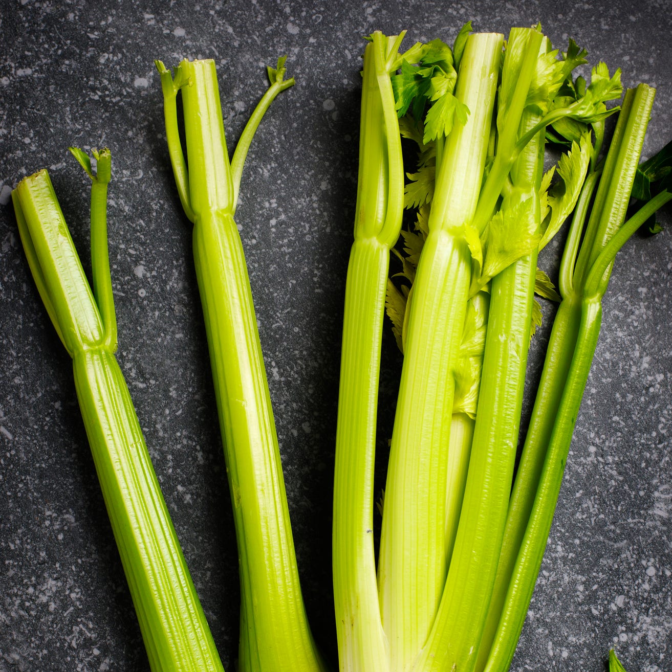 Fresh organic celery on dark grey stone background Fresh organic celery on dark grey stone background