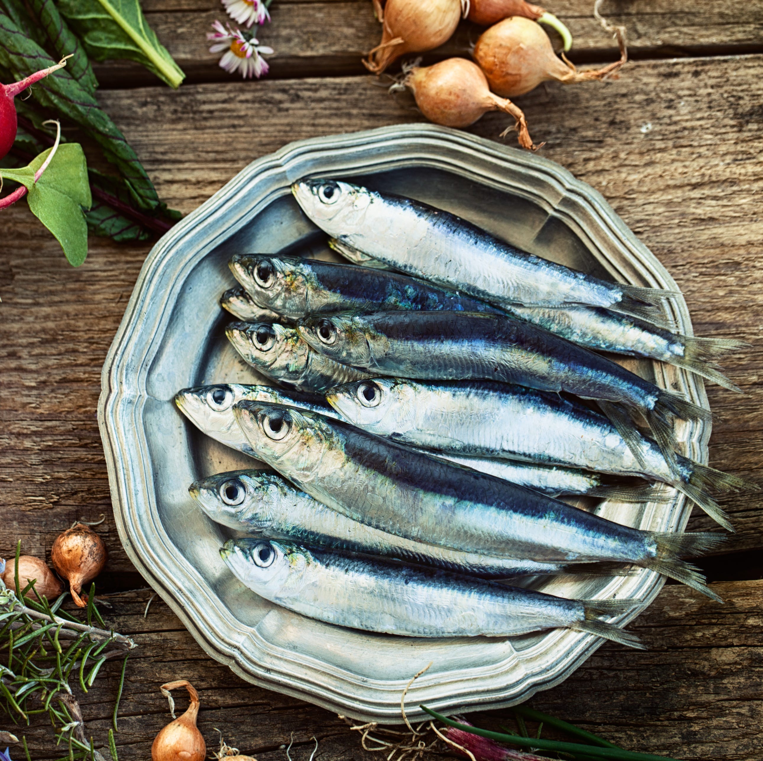 Fresh sardines