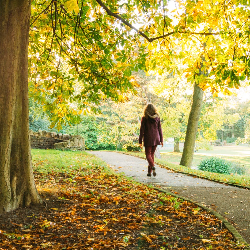 Woman Walking In Park During Autumn